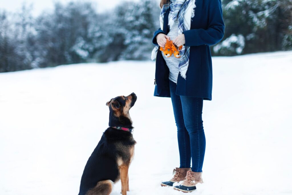 Schwangerschaft Baby und Hund schwanger mit Hund