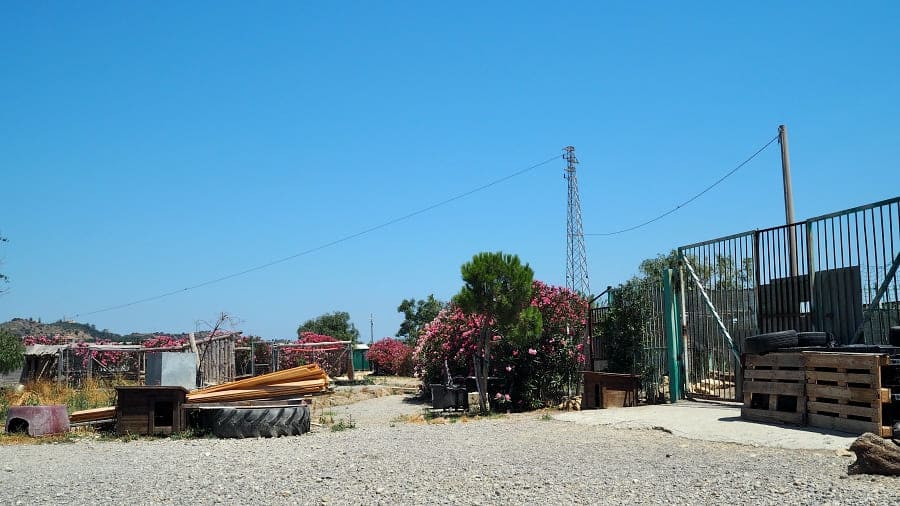 ciro-marina-Rifugio-Oasi-Argo-Associazione-Adozione-ARGO