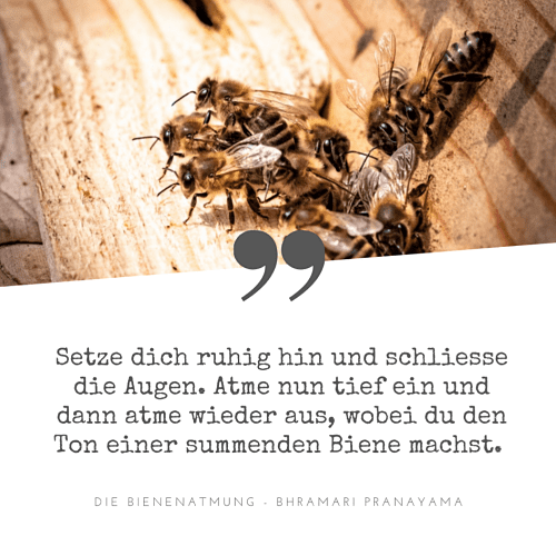Bienenatmung