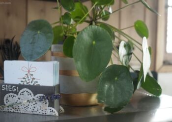 DIY Adventskalender selbermachen ausdrucken Freebie Printable