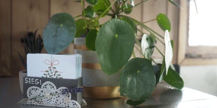 DIY Adventskalender selbermachen ausdrucken Freebie Printable