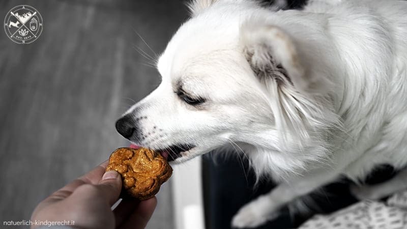 Natürliche-Fischleckerlies-für-Hunde