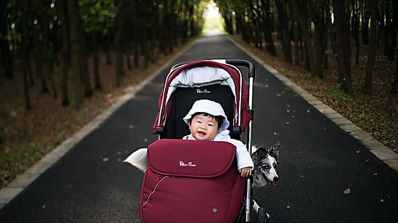 Wie-kann-ich-mit-Kinderwagen-Baby-und-Hund-Gassi-gehen