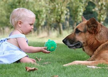 Baby-und-Hund-was-muss-ich-beachten