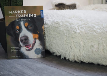 Markertraining für Hunde