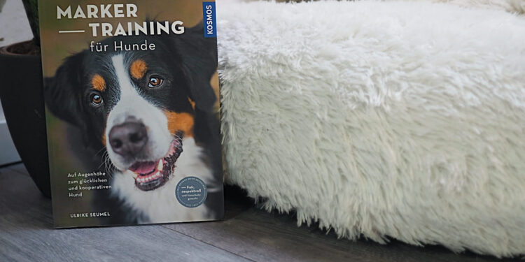 Markertraining für Hunde