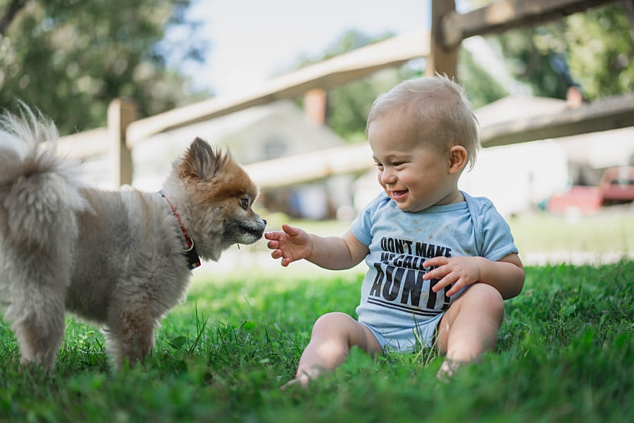 Welpe und 3jähriges Kind Kleinkind Tipps (1)