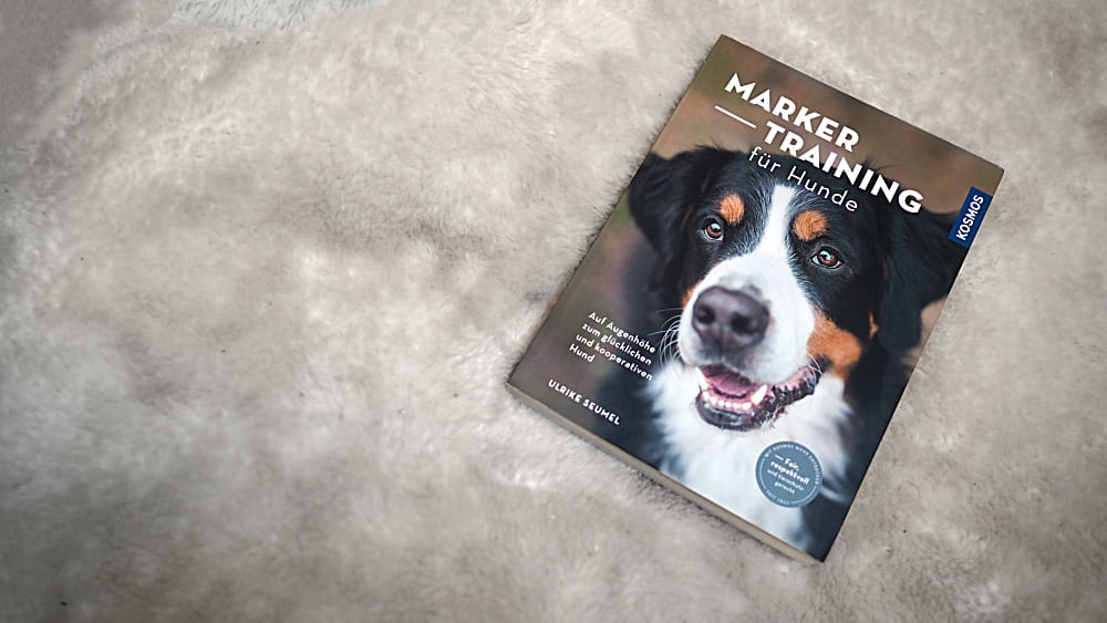 buchtipp markertraining mit hunden