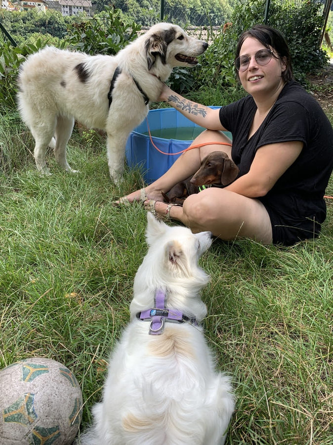 Denver Leben mit einem Herdenschutzhund HSH in der Familie