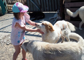 Mein-Besuch-im-Rifugio-Oasi-Argo-Siciliano
