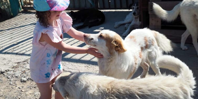 Mein-Besuch-im-Rifugio-Oasi-Argo-Siciliano