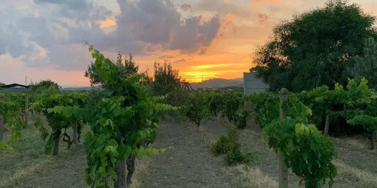 Meine-Bucket-List-2021