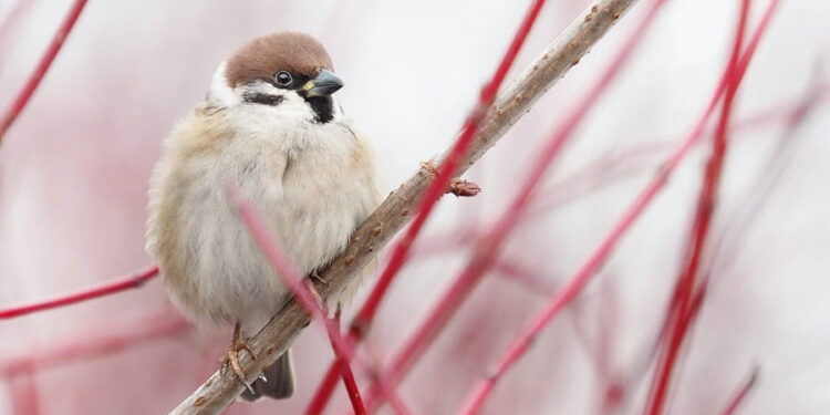 Was bedeutet Natürlich glücklich Familyblog Foodblog Südtirol