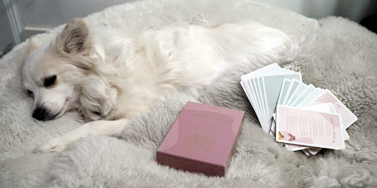 Achtsamkeitskarten Lebenskompass Achtsamkeitskärtchen Achtsam im Alltag 1