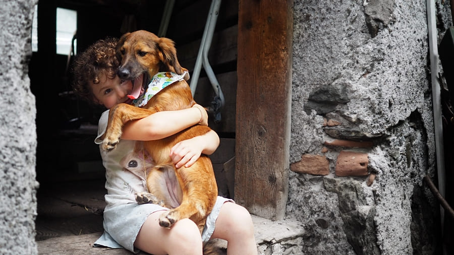 Beschwichtigungssignale Hund Kind und Hund Körpersprache 