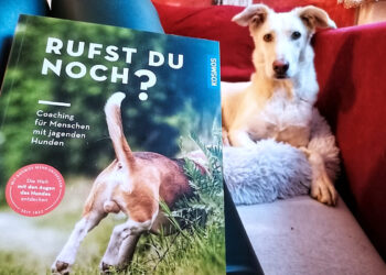Rufst du noch? Buchrezension