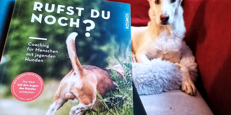 Rufst du noch? Buchrezension