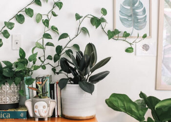 Verantwortungsübernahme Übernimm die Verantwortung für dein Leben Resilienz