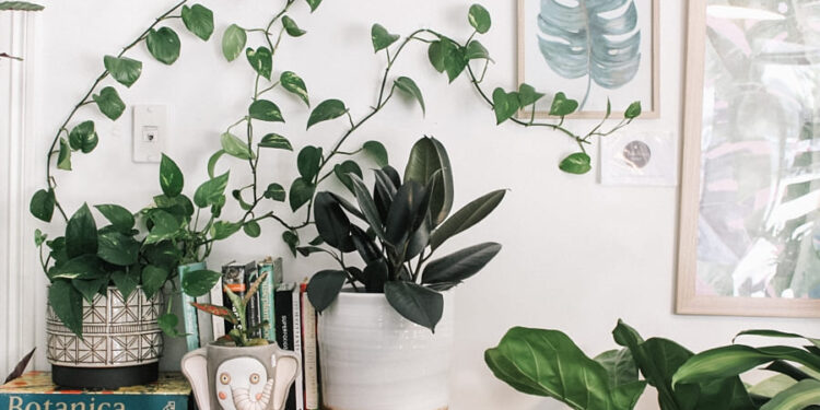 Verantwortungsübernahme Übernimm die Verantwortung für dein Leben Resilienz