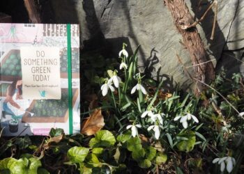 Do something green today Buchtipp Gartenjournal