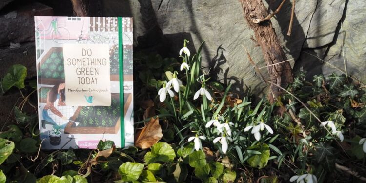 Do something green today Buchtipp Gartenjournal