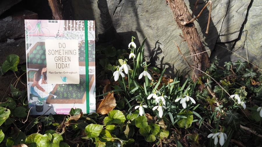 Do something green today Buchtipp Gartenjournal