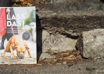 Lass das Hunden freundlich Grenzen setzen Buchrezension Tipp