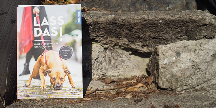 Lass das Hunden freundlich Grenzen setzen Buchrezension Tipp