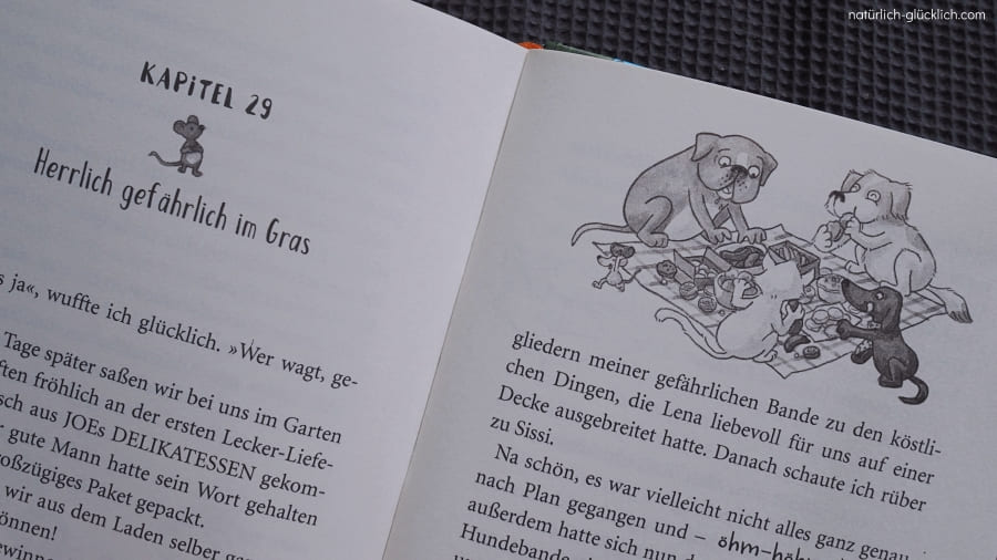 Buchtipp für Kinder ab 8 Jahren Bruno Bratwurst