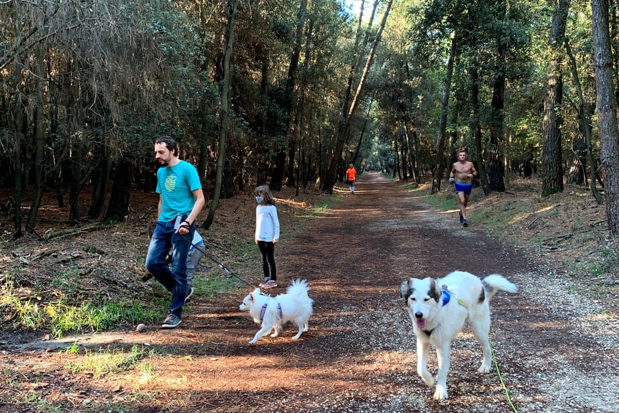 Ferien mit Hund Italien in Spiaggia Romea