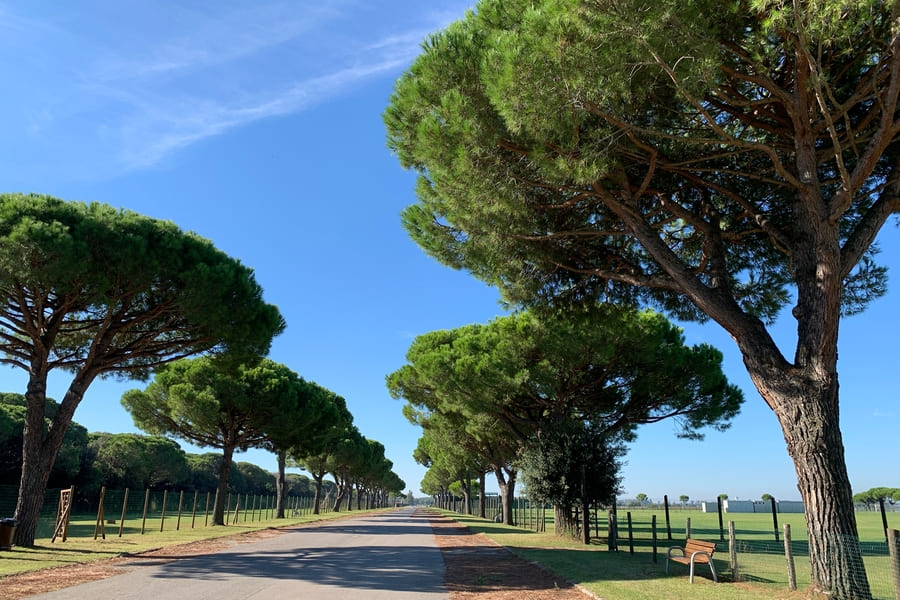 Ferien mit Hund Emilia Romagna