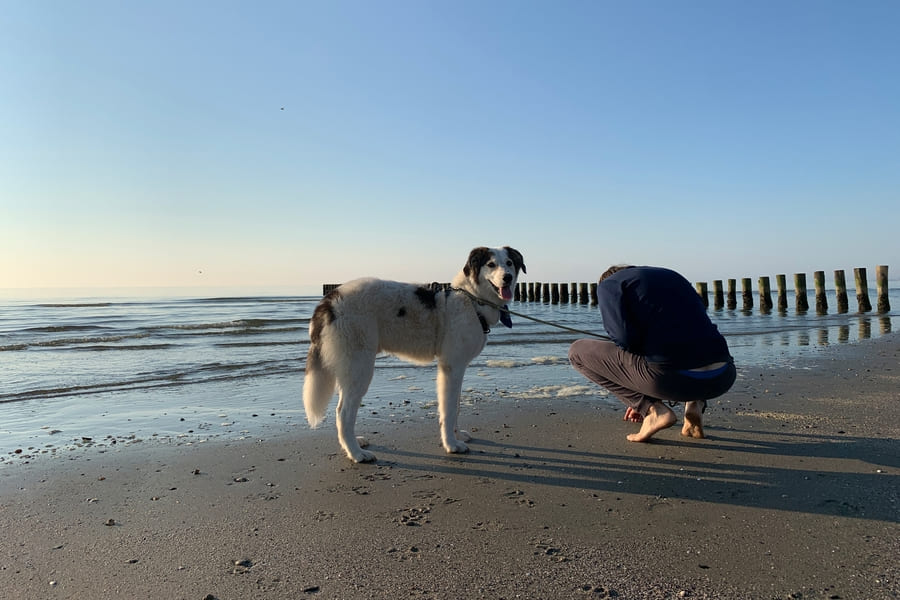 Hundestrand Italien Emilia Romagna Podelta