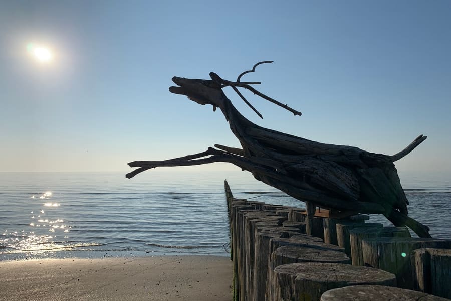 Hundestrand Italien Emilia Romagna Podelta