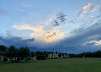 Ferien mit Hund Italien in Spiaggia Romea