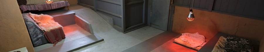 Hundepension Südtirol Ritten