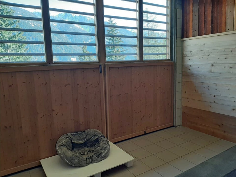 Hundepension Susi Susanne Gruber Ulten Südtirol