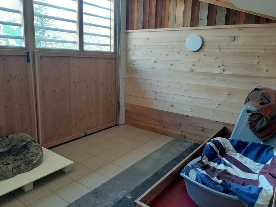 Hundepension Susi Susanne Gruber Ulten Südtirol