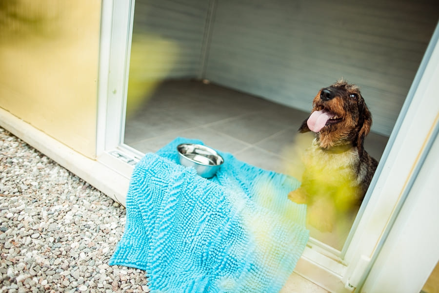 Hundepension in Südtirol Ulten Terlan Kurtatsch Lana Sterzing