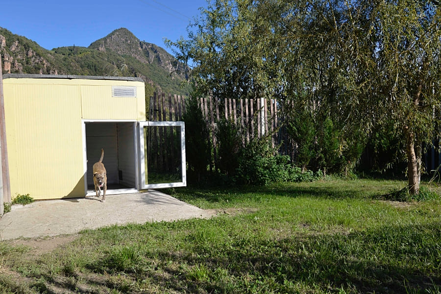 Hundepension in Südtirol Ulten Terlan Kurtatsch Lana Sterzing