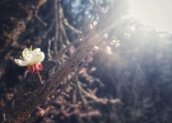 Neulich im Wald