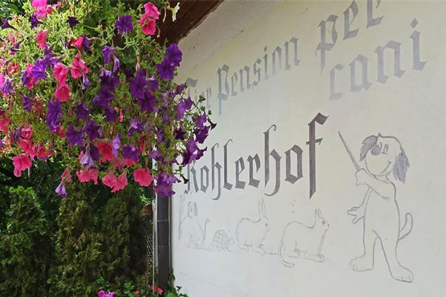 tierpension_kohlerhof_afing_suedtirol_l
