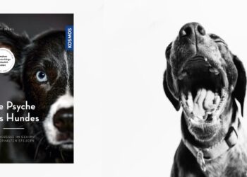 Rezension Die Psyche des Hundes Buchrezension Robert Mehl