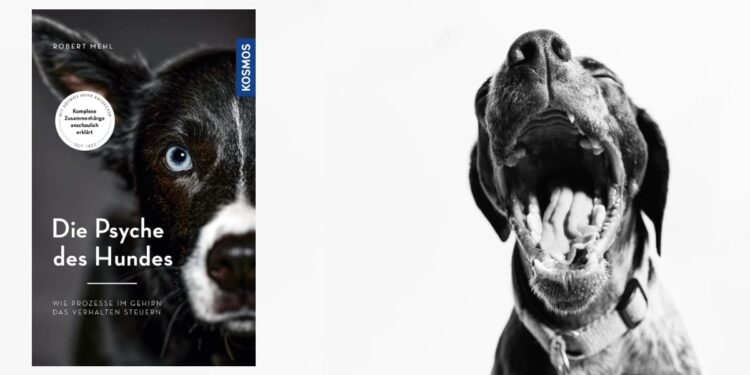 Rezension Die Psyche des Hundes Buchrezension Robert Mehl