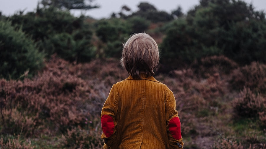 Immunsystem stärken gestärkt durch den Herbst und den Winter Kind spaziert im Herbst durch die Natur