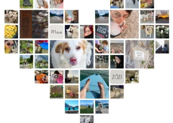 Collage Mein Jahr 2021