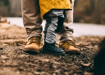 Landesfamiliengeld und Landeskindergeld Südtirol Neuerungen