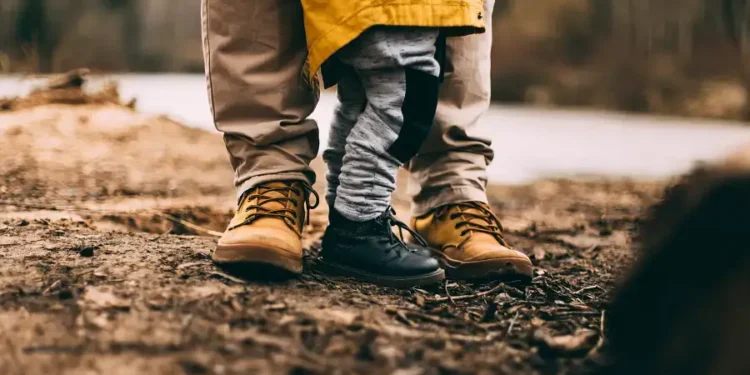 Landesfamiliengeld und Landeskindergeld Südtirol Neuerungen