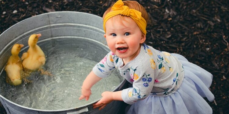 Ansuchen Landeskindergeld Landesfamiliengeld Südtirol ansuchen-2