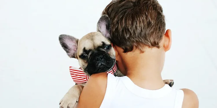 Baby oder Hund zuerst Kind und Hund