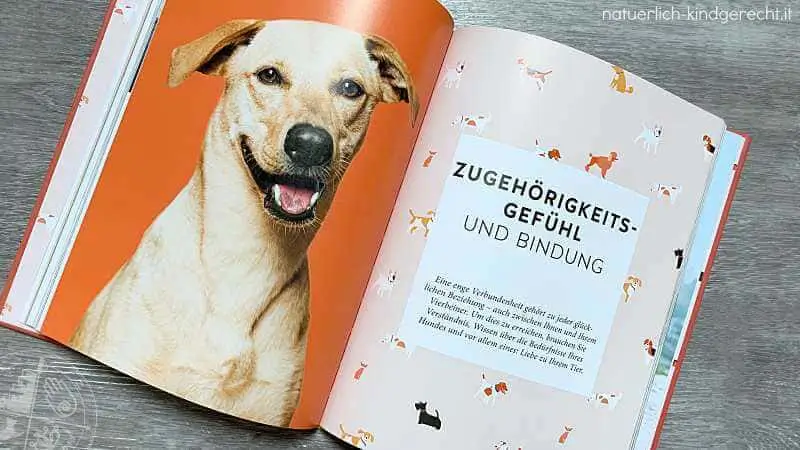 Entspannter-Mensch-entspannter-Hund-Buchtipp-für-gestresste-Hundebesitzer